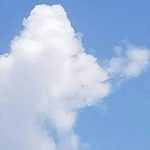 What Do You See: A Fish or a Plane? The Left-Brain vs. Right-Brain Debate