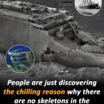 No bodies were ever recovered from the wreck…