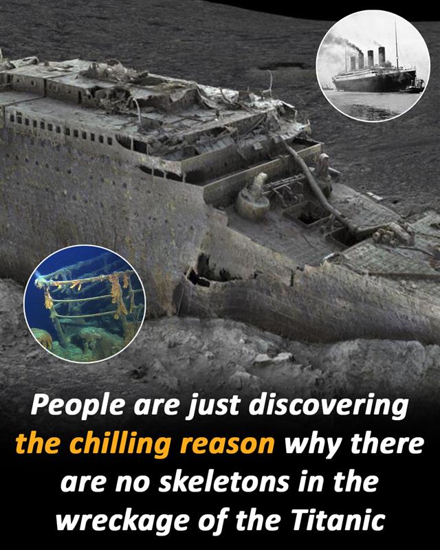 No bodies were ever recovered from the wreck…