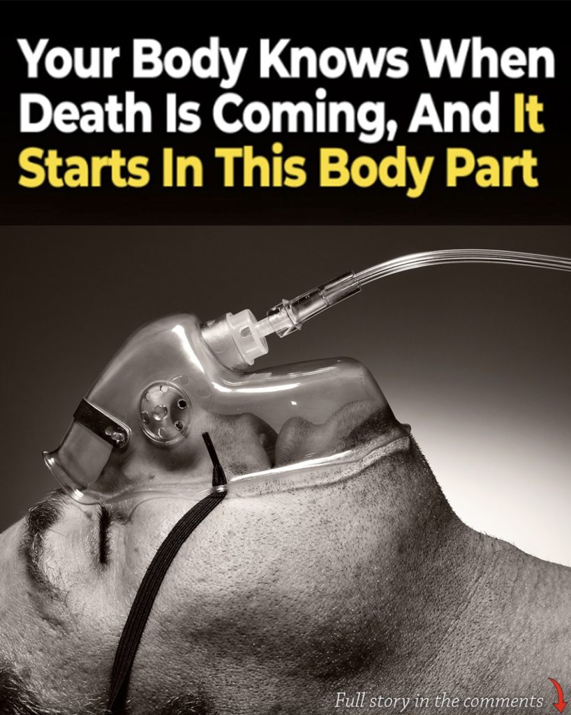 Research shows body senses death is near – starts in this body part