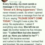 My Mom Texted: ‘Please Don’t Come Today.’ What We Found in Her House Left Us in Tears