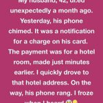 14 True Stories That Could Hit Internet’s Front Page