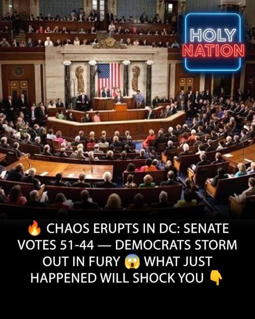 Chaos Erupts in DC! Senate Votes 51-44 — Dems Walk Out in Rage