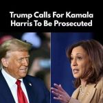 Kamala Harris at the Crossroads: Charting a New Path After Defeat
