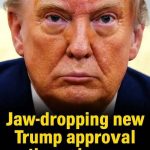 Fresh Trump Approval Poll Shows What the U.S. Truly Believes