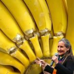 Unexpected Facts About Bananas: What Lies Behind the French’s Favorite Fruit