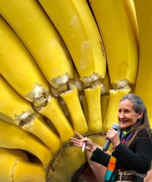 Unexpected Facts About Bananas: What Lies Behind the French’s Favorite Fruit
