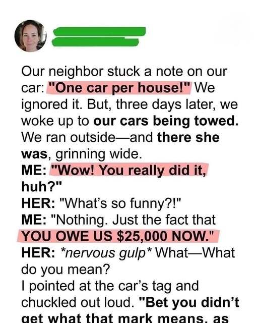 Our Neighbor Had Our Cars Illegally Towed — She Never Expected the Government to Show Up
