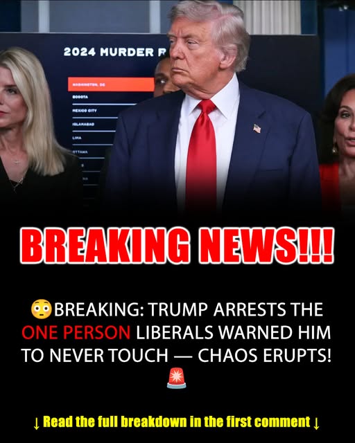 FEDERAL TAKEOVER IN DC DROPS CRIME BUT SPARKS MASS IMMIGRATION ARRESTS