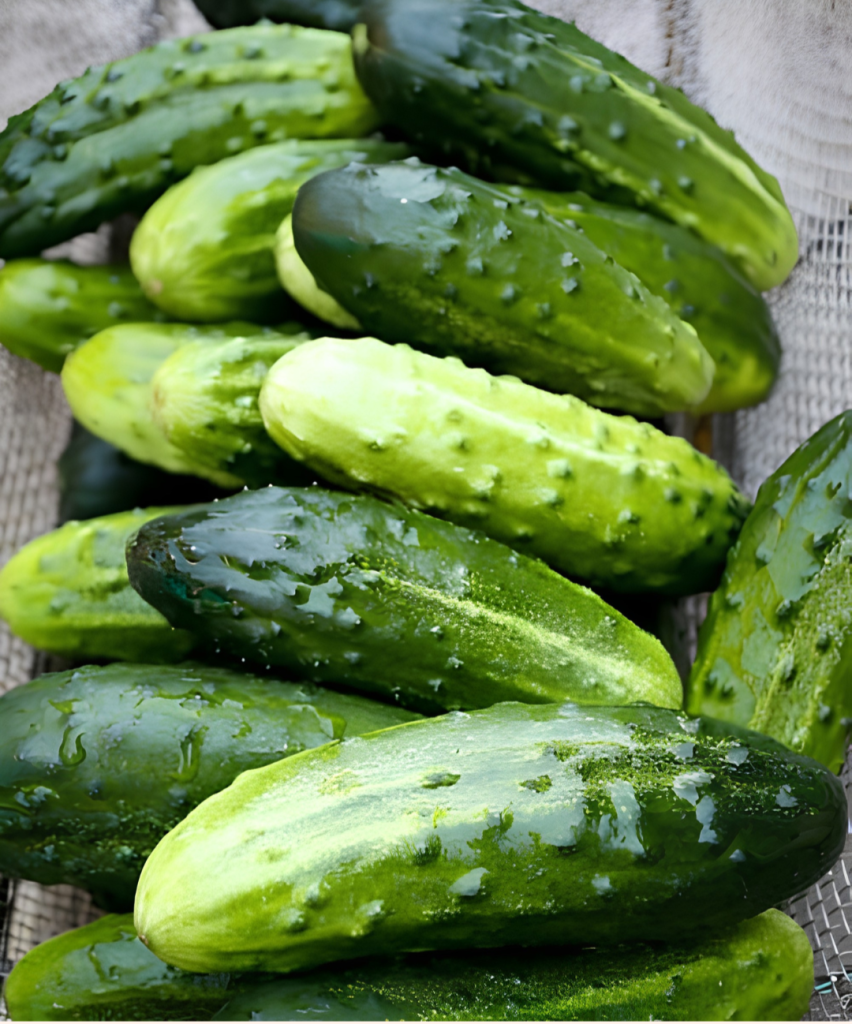 Doctors reveal that eating cucumbers causes…