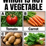 Are You Able To Answer These Tricky Questions