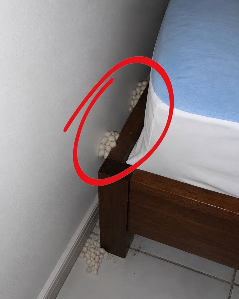 I Came Home Exhausted Expecting a Quiet Evening—But One Detail Told Me Something Was Wrong
