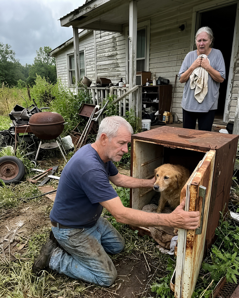 How Saving A Dog From A Foreclosed House Taught Me To Heal AgainTaught Me To Heal Again