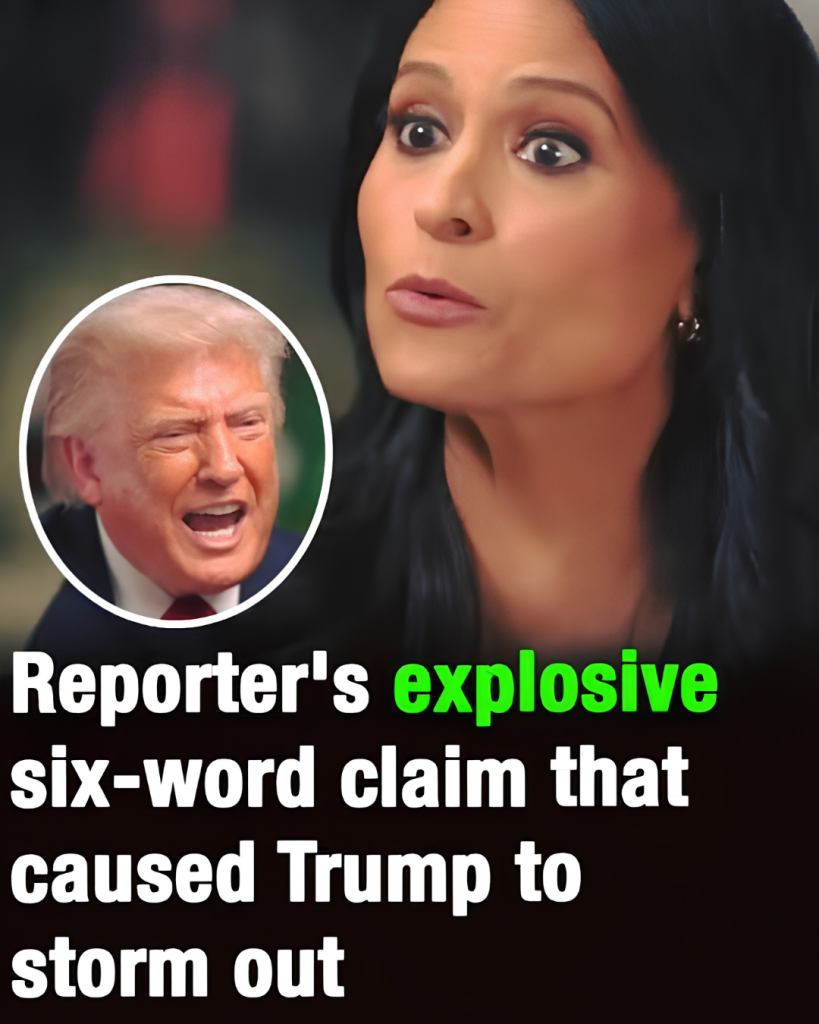 Reporter’s Six-Word Comment Reportedly Sparks Heated Reaction During Trump Event – Terbv
